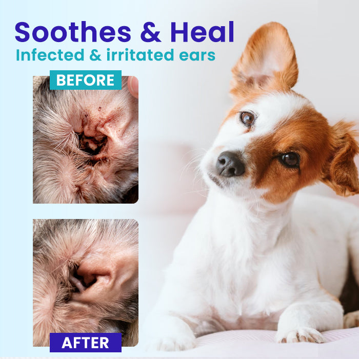 Lotmay® Pet EarPro Drops FM+