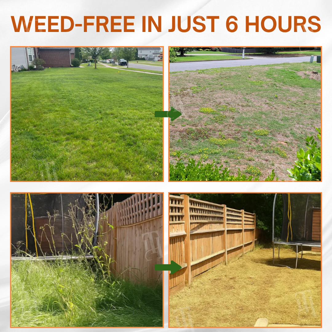 🔥 BLACK FRIDAY: 40% OFF | AEXZR® 2 in 1 Max Power Herbicide - 6-Hour Action – No more waiting