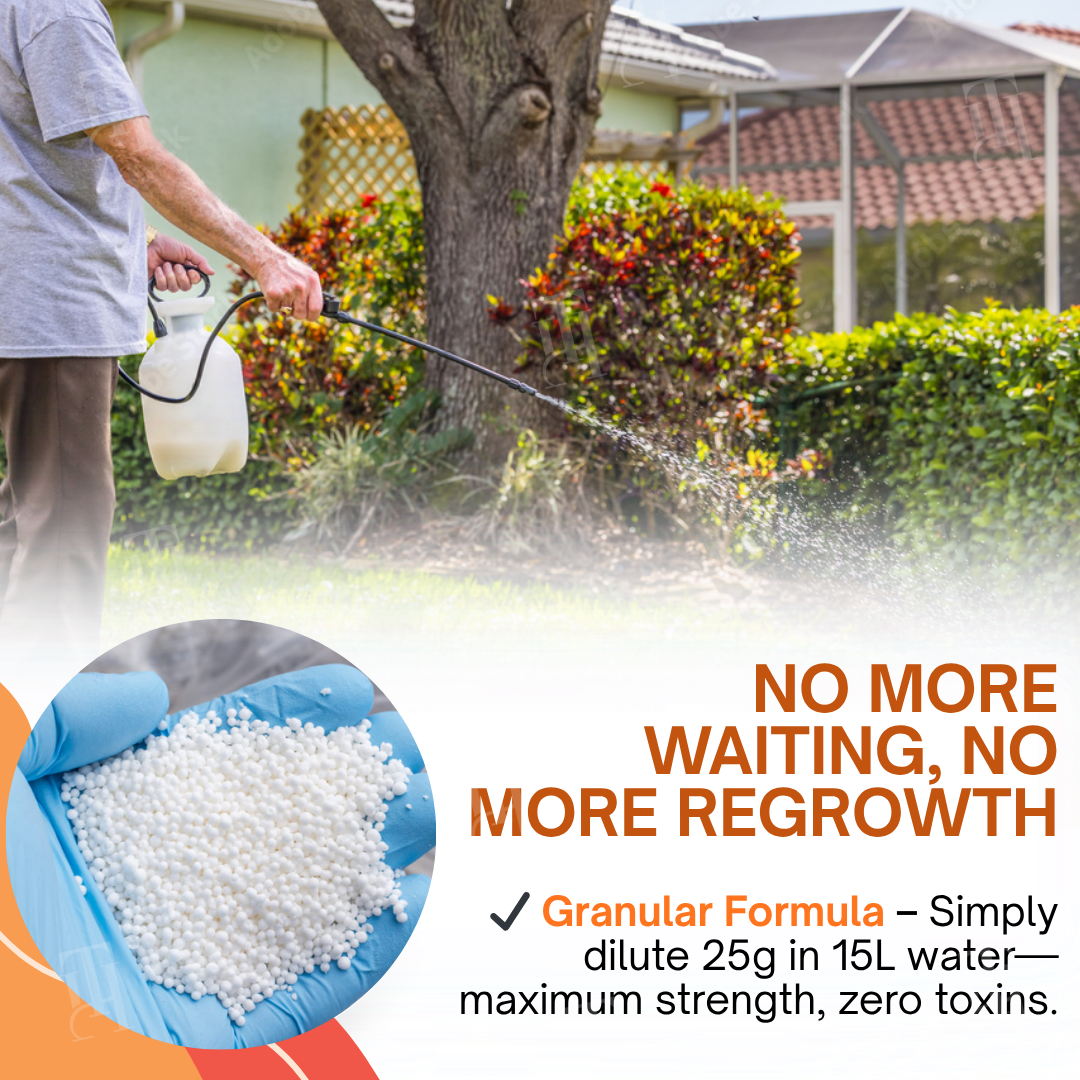 🔥 BLACK FRIDAY: 40% OFF | AEXZR® 2 in 1 Max Power Herbicide - 6-Hour Action – No more waiting