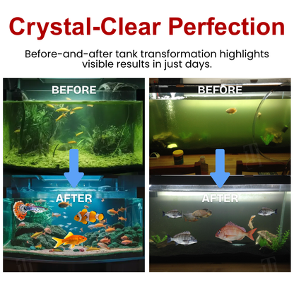 [Official Store] AEXZR® AquaImmune Pro-Crystal-clear water in 12 hours