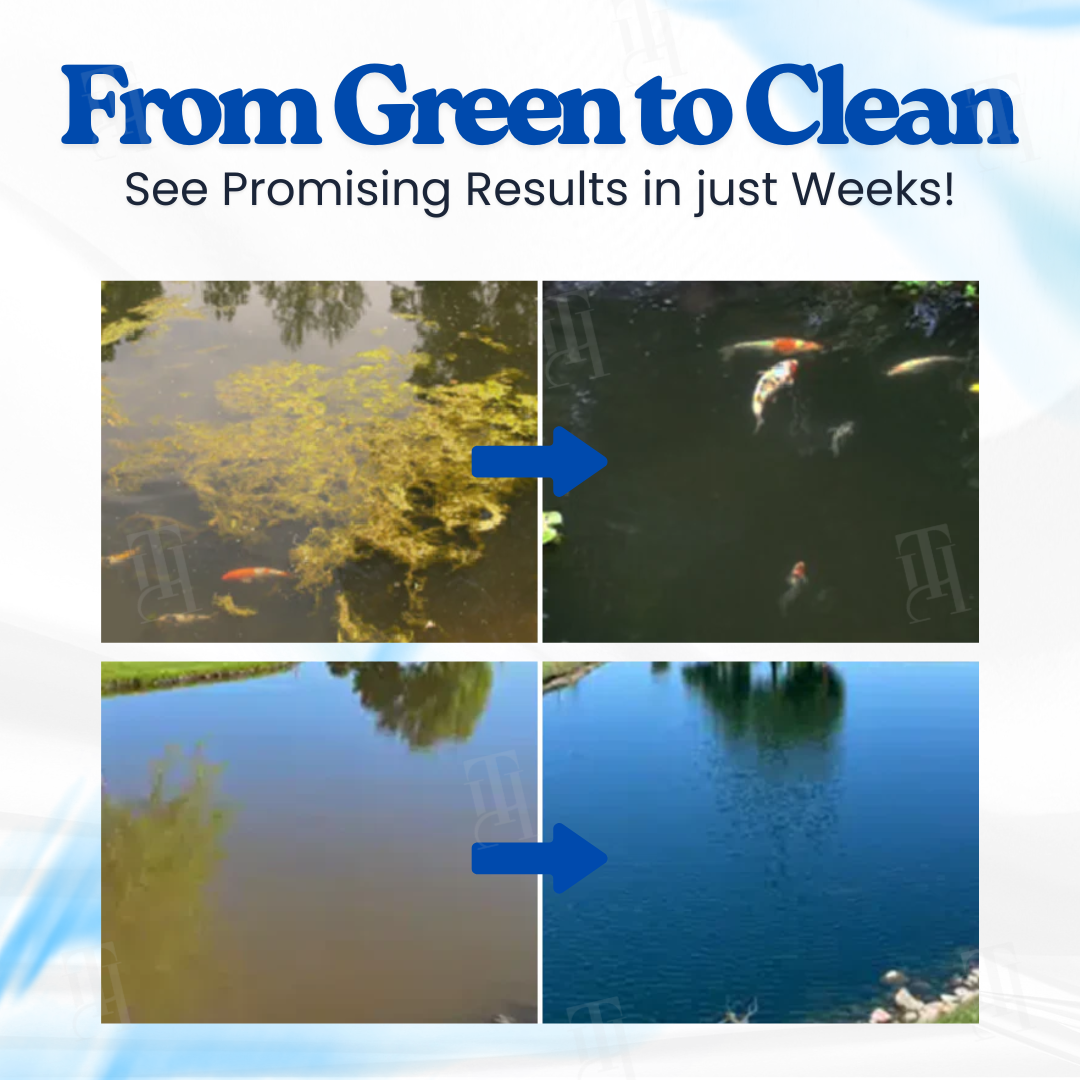⏱️ Crystal clear in 24 hours! | 🌿 100% Safe for fish and plants | AEXZR® Aqua-Guardian Pro Formula