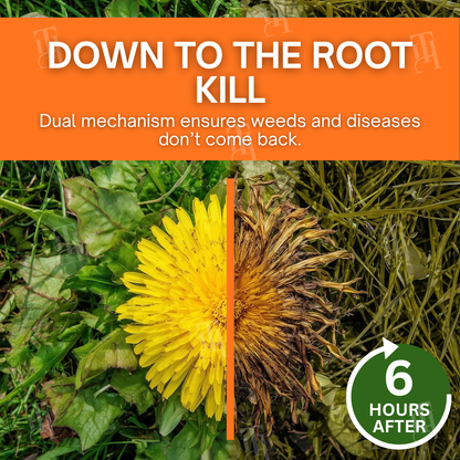 🔥 BLACK FRIDAY: 40% OFF | AEXZR® 2 in 1 Max Power Herbicide - 6-Hour Action – No more waiting