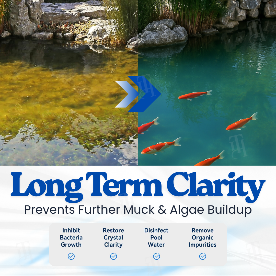 ⏱️ Crystal clear in 24 hours! | 🌿 100% Safe for fish and plants | AEXZR® Aqua-Guardian Pro Formula
