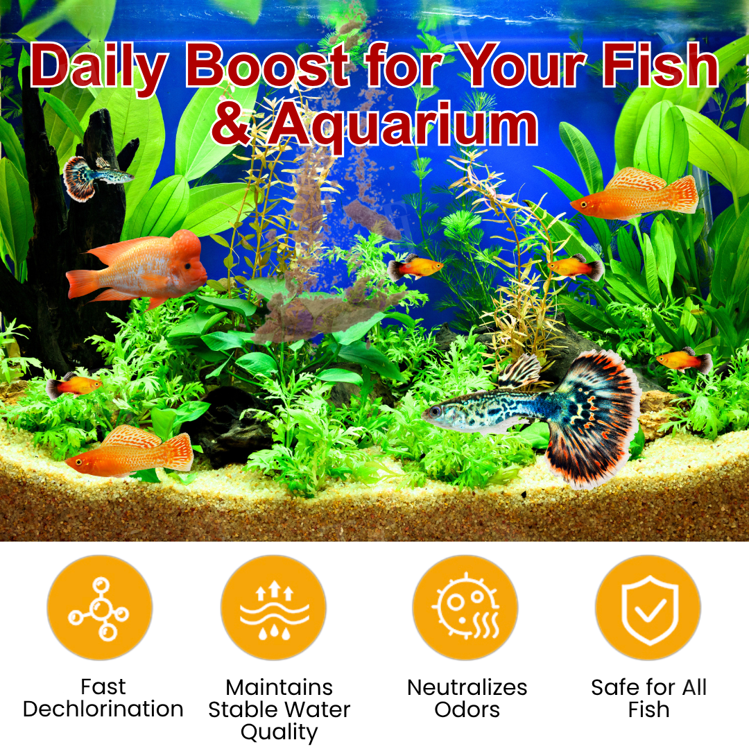 [Official Store] AEXZR® AquaImmune Pro-Safe for goldfish, bettas & all tropical fish ！