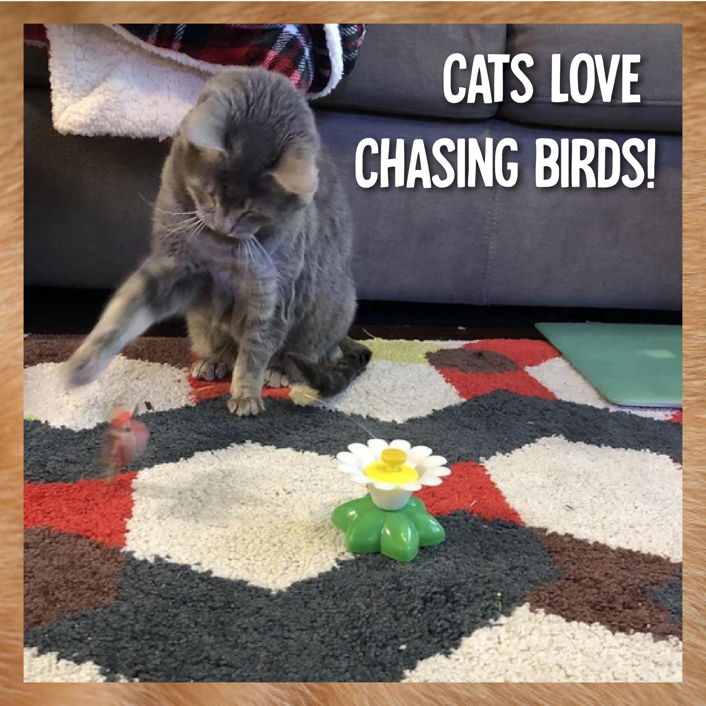 AEXZR®Flying Bird for Cats