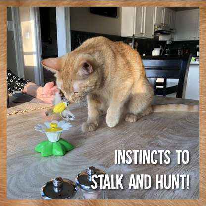 AEXZR®Flying Bird for Cats