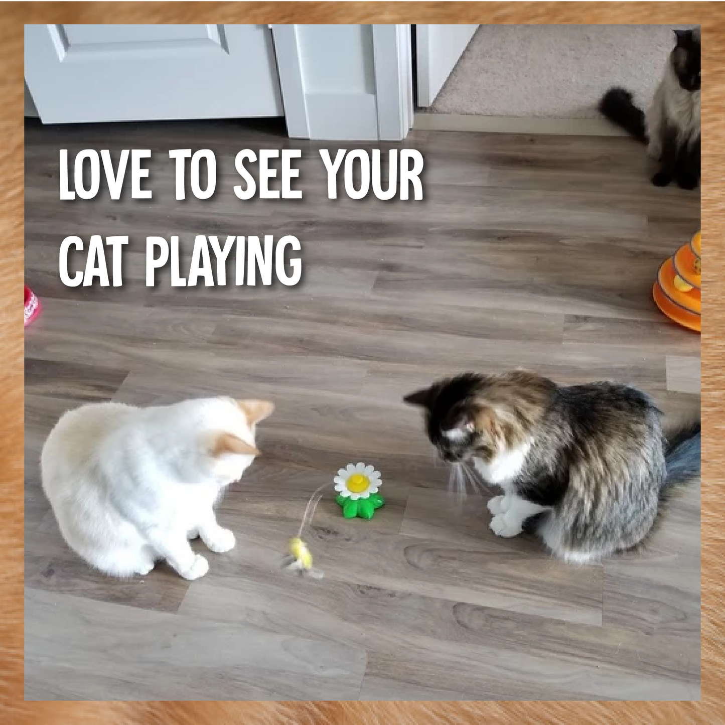 AEXZR®Flying Bird for Cats