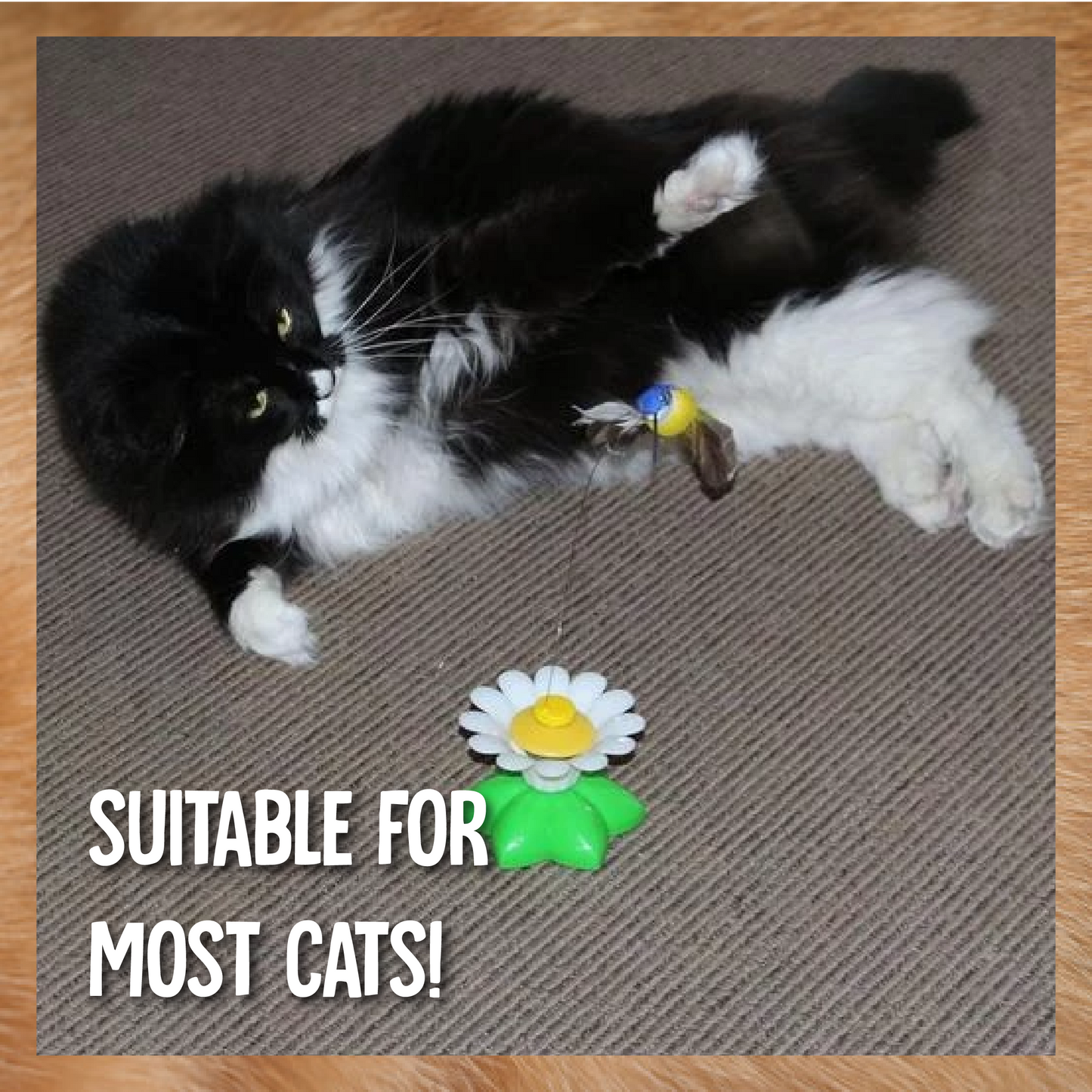 AEXZR®Flying Bird for Cats