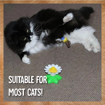 AEXZR®Flying Bird for Cats
