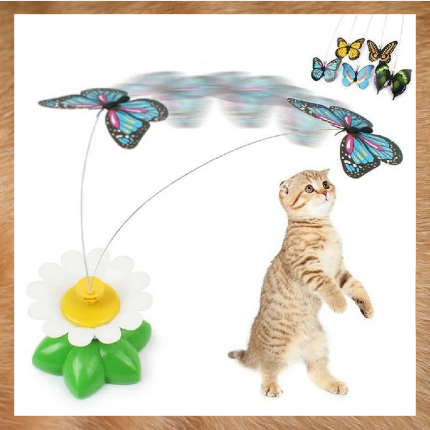 AEXZR®Flying Bird for Cats