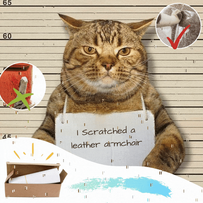 AEXZR®Anti Cat Scratch Guard Tape