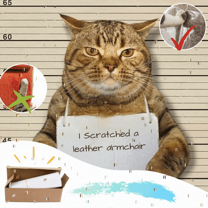 AEXZR®Anti Cat Scratch Guard Tape