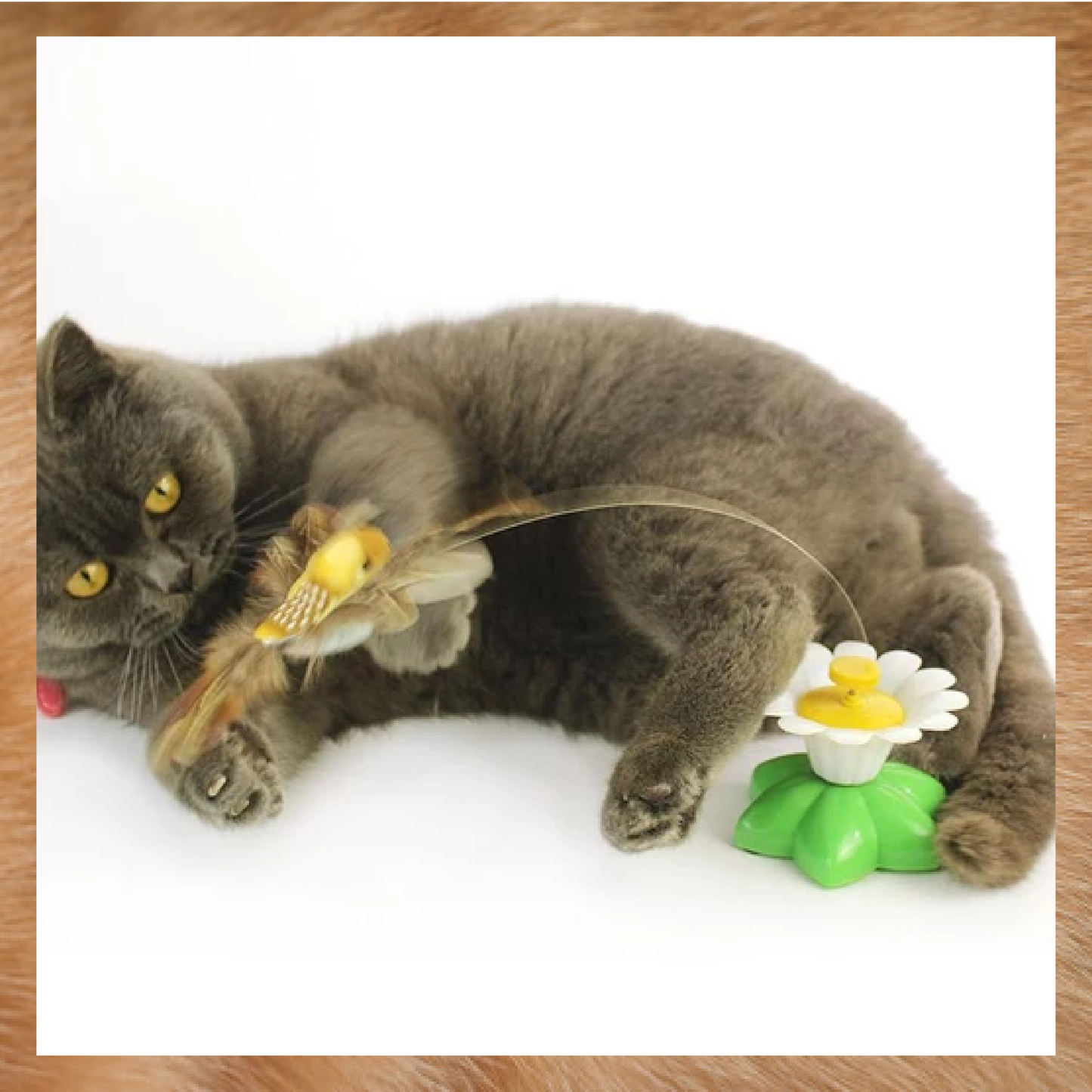 AEXZR®Flying Bird for Cats