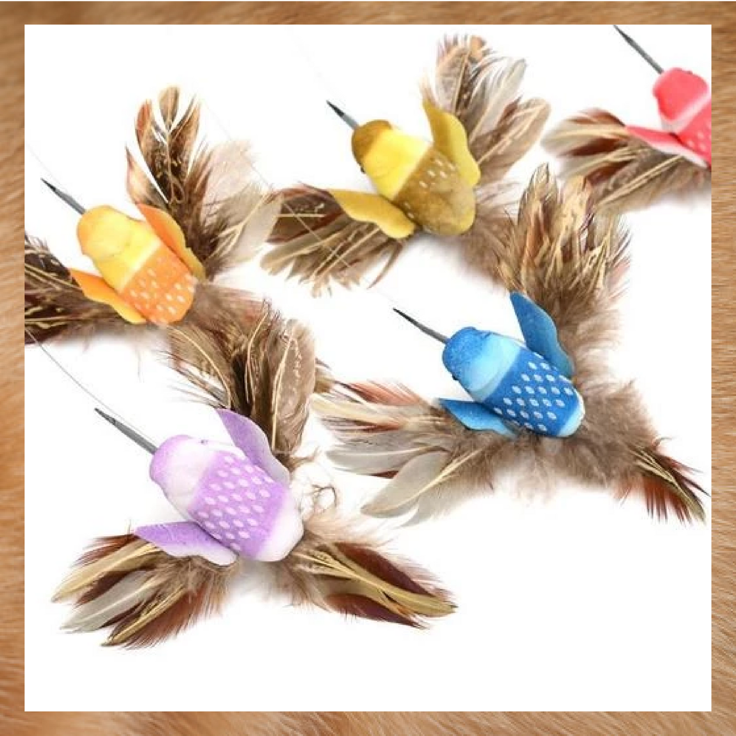 AEXZR®Flying Bird for Cats