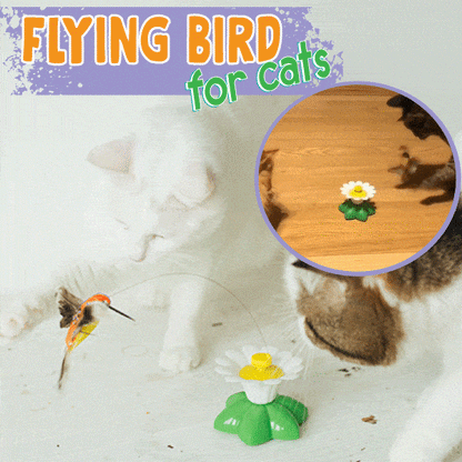 AEXZR®Flying Bird for Cats