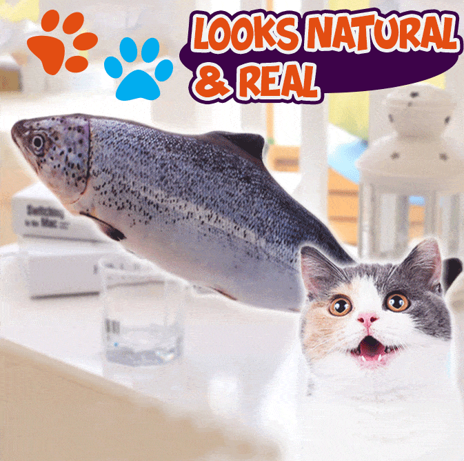 AEXZR®Cat Kicker Fish Toy