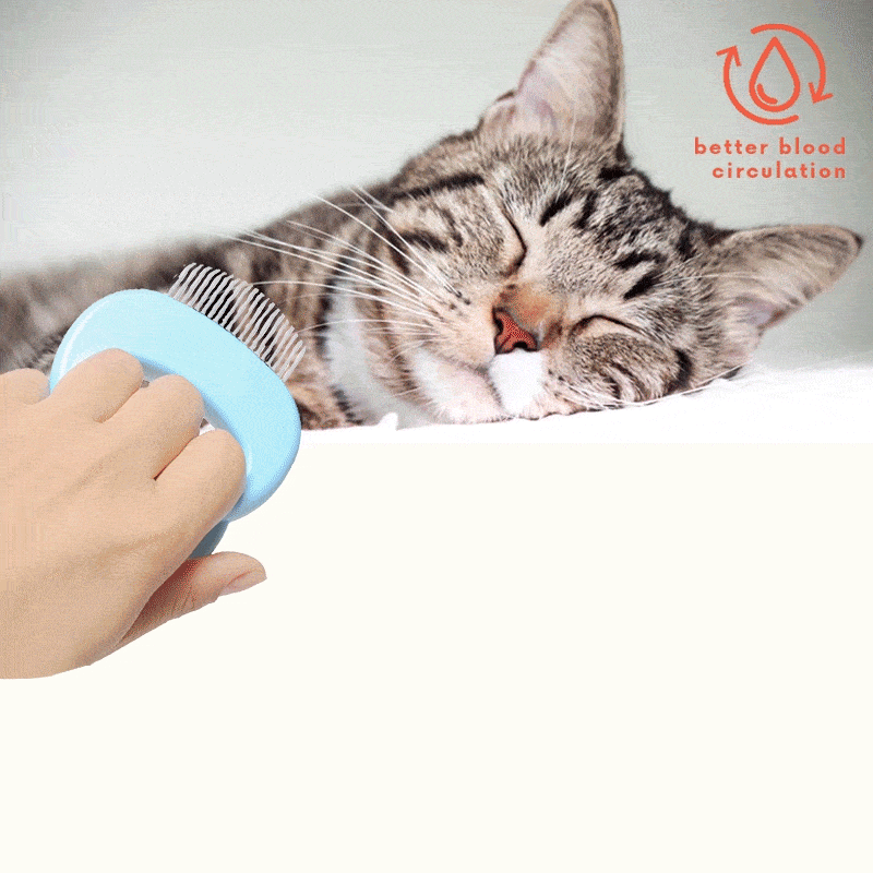 AEXZR®Pet Hair Massaging Comb